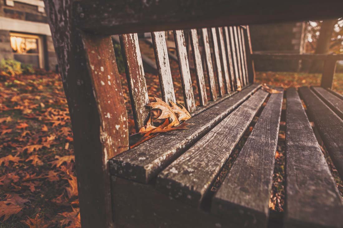 atumn leaves falling